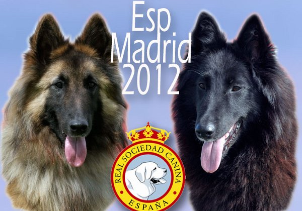 Esp_Madrid2012